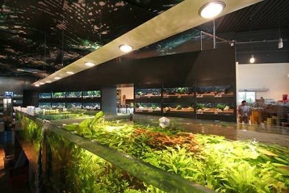 Zooland Frankfurt-lamp